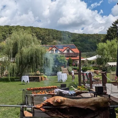 Catering special de nuntă cu porc la proțap într-un eveniment în aer liber cu cort african