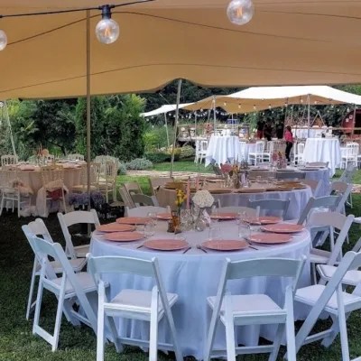 Scaune elegante închiriate pentru o nuntă în aer liber cu cort african lângă Târgu Mureș